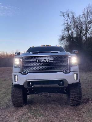 A post by @baileysmithh6 on TikTok caption: grapps be grappin #fyp #bubbatruck🌾 #fypシ #trucktok #grapps #denali #40s #gmc 