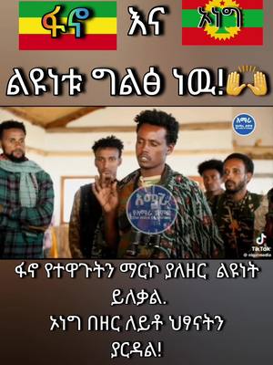 A post by @belayz2 on TikTok caption: ፋኖ❤️........ #ethiopian_tik_tok #habeshatiktok #amhara #oromotiktok #ኦነግ #ደቡብኢትዮጵያ #ወታደርነኝ🇪🇹 