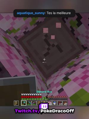 A post by @pokedraco on TikTok caption: C'est quoi cet arbre ? 🤣 #minecraft #twitch