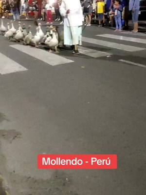 A post by @gonzalodf22 on TikTok caption: #perú🇵🇪 #mundo #you #verano        CORSO DE LA AMISTAD POR EL 153 ANIVERSARIO DE LA CIUDAD DE MOLLENDO #manuelito_duran 