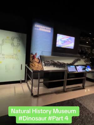 A post by @hekabbas on TikTok caption: Natural History Museum NYC #part4 #NYC #naturalhistorymuseum #museum #history #dinasour #newyork #usa #newyorkcity #nature #amazing #wildlife #adventure #vacation #kids #family 