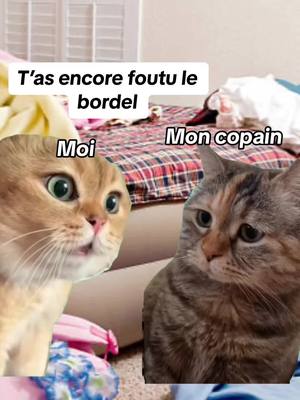 A post by @stockerseul_officiel on TikTok caption: Trop de commandes @SHEIN … Obligé de prendre un box de stockage chez stockerseul.com ! Merci Stockerseul.com !🦒💛#MemeCut #MemeCut #Meme #MemeCut #stockage #fyp 