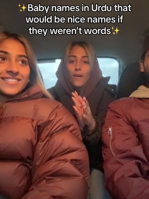 A post by @latiftwins on TikTok caption: Names that would be nice if they werent words??? It did not make sense at the end #pakistani #urdu #foryou #twins 