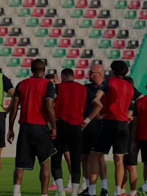 A post by @walterzenga_official on TikTok caption: Training … 💚🍀✅ #rasalkhaimah #emirates🇦🇪 #calcio 