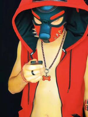 A post by @pup_griff on TikTok caption: muted. 😏😉 #pupgriff #PuppackEclipse #medievalinx #pupplay #pupplaycommunity #humanpup #humanpupplay 