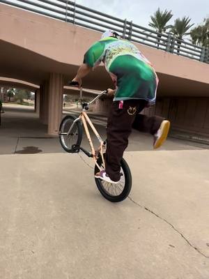 A post by @catfishvsthug on TikTok caption: Iconic BMX spot known as the wedge.  2024 im killing it. #catfishvsthug #bmx #arizona 