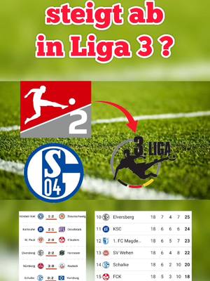 A post by @crazybboys on TikTok caption: Wer steigt ab in Liga 3 ??? #2bundesliga #2liga #3liga #absteiger #abstimmung #rückrunde #saison #svelversberg #karlsruhersc #1fcmagdeburg #svwehenwiesbaden # #relegation #fcschalke04 #1fckaiserslautern #eintrachtbraunschweig #hansarostock #vflosnabrück 