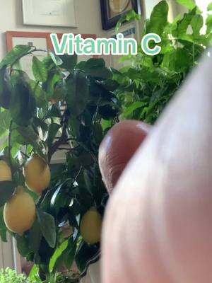 A post by @dr.robbyschlund on TikTok caption: Vitamin C- Das Wundermittel?  #arzt #praxisdrschlund #orthopädie #medizin #entspannung 