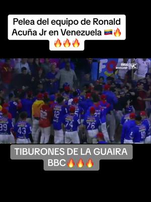 A post by @nizaovideoo on TikTok caption: #tiburonesdelaguaira #venezuela🇻🇪 #mlbvenezuela🇻🇪 #fyppppppppppppppppppppppp #🔥 #fyp #lovesport #republicadominicana🇩🇴 #fernandotatisjr23 #ronaldacuñajr #amoeldeporte #juansoto #⚾️ #amoraldeporte❤️ 