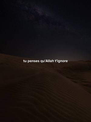 A post by @muslim.x.motivation on TikTok caption: A côté de la difficulté est, certes, une facilité ! (94:5) #islam #rappels_islam #inspiration #nasheed 