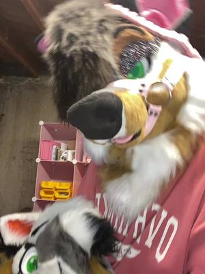 A post by @cautiousculpeo on TikTok caption: Oops sorry i abandonded ya’ll have a drafted video!!! Chronic pain has made it difficult for fursuiting. I missed you all 🥲