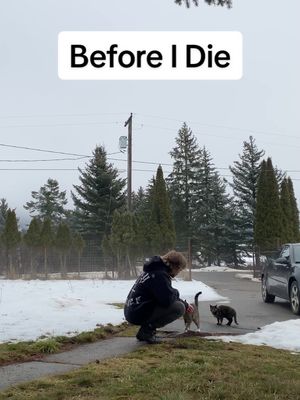 A post by @magikmerlin on TikTok caption: This one is called “Before I Die” and comes out Thursday night! Before I die is basically a conversation with the universe, asking him what I am destined for. It’s a realization that there are so many things I’ve yet to accomplish. It’s a chance to overcome those obstacles and rise above them. You can pre save at the link in my bio if you want, or wait until it comes out to get it🤷  #rap #pop #music #reels #reelsinstagram #realizations #independant #artists #beforeidie #kittys #mountains #rain #fyp #foryoupage 