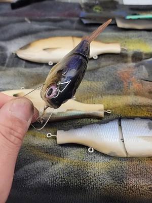 A post by @shankbaitco on TikTok caption: whaaaat look what is going to be the beat kept secret to catching giant bass..#bass #art #viral #usa #Outdoors #fishing #fish #sports #hunting #handmade #game #illinois #forsale 