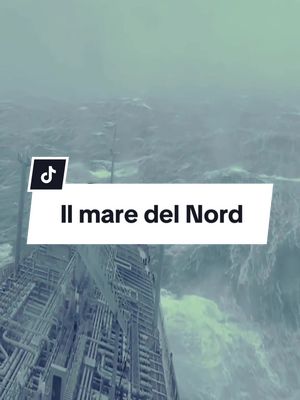 A post by @fatti_terrificanti on TikTok caption: mare del Nord… ⚓️🌊 #orrore #terrificanti #maredelnord 