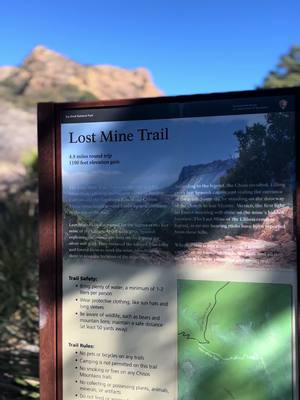 A post by @wilderoffroad on TikTok caption: #lostminetrail #bigbendnationalpark #bigbend #wilderoffroad