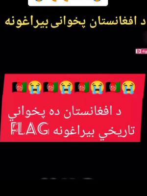 A post by @rishad_shirzad2 on TikTok caption: 😭😭😭#waliullahbigfun @Waliullah SAHIBZADA @👑🇦🇫S H E R ZA D🇫🇷🤴 @BOSS #foryou #Viral #funny 