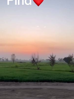 A post by @s_a_k_official on TikTok caption: Nature✨❤️ #karachi #pakistan🇵🇰 #sindhwale #viral #foryoupage #for #foryou #Natural 