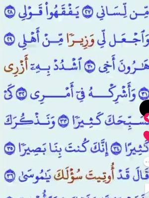 A post by @cabdulqafaar on TikTok caption: #somalitiktok #muqdishotiktok #fypシ #puntlander🇸🇱 #foryourpage #fypシ #fypシ゚viral #القران_الكريم #سعوديه #مغربية #الصومال🇸🇴 #اليوم #الجمعة 