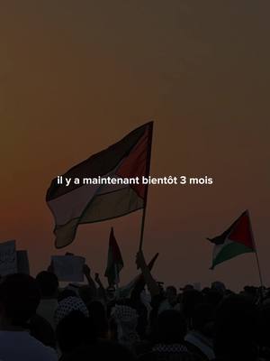 A post by @muslim.x.motivation on TikTok caption: Qu'Allah leur vienne en aide. 🇵🇸 #islam #muslim #rappels_islam #nasheed #palestine 