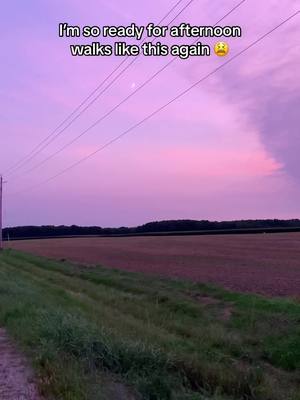 A post by @thatchickem on TikTok caption: Ready for those purple hour walks 😫💜#purplehour #ontario #snowbegone #relatable #walks #canada #onlyincanada #sunset #doglover #foryou #fypシ゚viral 