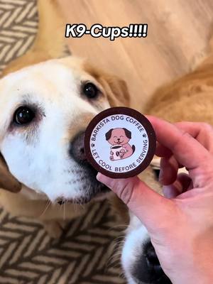 A post by @shellysyk on TikTok caption: Keurig pods for your dog!!! Coffee for dogs!!! ☕️🤎 This is honestly the coolest thing ever 🥰 @Barkista  #fyp #foryou #foryoupage #coffeefordogs #coffee #dogcoffee #barkista #barkistadogcoffee #goatsmilk #mushrooms #healthy #dogtreat 