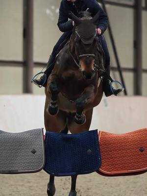 A post by @lv_clydesdale on TikTok caption: Are you ready for show jumping? A very talented geldin by i‘m special de muze ⭐️ #showjumping #sporthorse #horseparcur #fyp #horseworld 