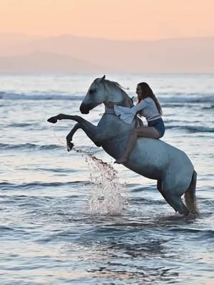 A post by @malikamayr on TikTok caption: This is paradise 🌿 #pferdeliebe #equestrian #libertydressage #freiheitsdressur #pferd #horse #horselover #freeriding #neckroperiding #halsringreiten #neckrope #spain #sunrise #sea #dressage 