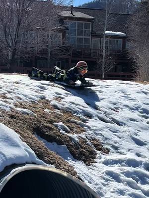 A post by @sydlishous on TikTok caption: January in Colorado #snow #nosnow #pitvipers #sledding #coloradosprings 