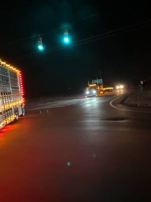 A post by @colbyeberhard1 on TikTok caption: Mmhmmm… #daddysmoney #peterbilt389 #curtainside #largecarmag #loweredlifestyle #turkeybags #flatcabstandup @Doug on the camera 