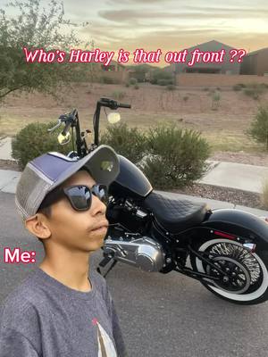 A post by @antelhormiga93 on TikTok caption: #Meme #MemeCut #softail #harleydavidson 