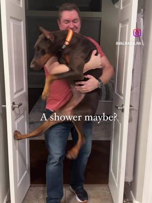 A post by @alinamalina_tiktok on TikTok caption: #dogwash #letmetellyousomething 