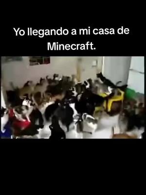 A post by @daniotrix on TikTok caption: cuántos somos así? 😅😂😂#daniotrix #Minecraft #minecraftmemes 