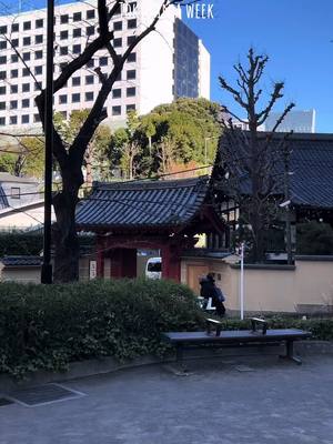 A post by @mae_mondin on TikTok caption: I spent a week in Tokyo in January and it felt like a dream coming true 🗼🇯🇵 #tokyo #travel #solotravel #temple #akihabara #traveledit #CapCut 