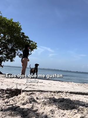 A post by @lizmarcos998 on TikTok caption: Ámala #CapCut #esosojos #viral 