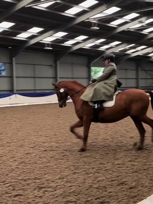 A post by @loosecanonjack on TikTok caption: Double dressage on Sunday. #dressage #sidesaddle #fyp 