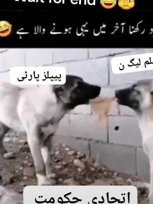 A post by @khan_ka_deewana_ on TikTok caption: آخر میں یہی کچھ ہونے والا ہے۔۔۔ #PpvsPmln #Pakistan #politics #foryou #foryoupage #viral #fyp #fypシ 