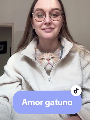 A post by @kubo_y_eva on TikTok caption: Amor gatuno #amorgatuno #gato #gatos 