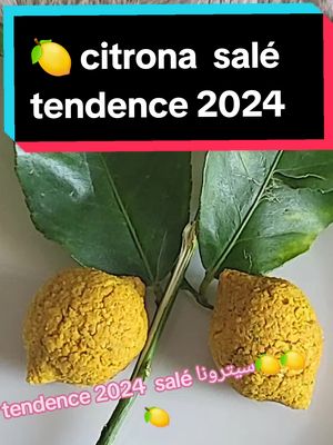 A post by @cattleya871 on TikTok caption: #tendencia #2024 #sale #salé 