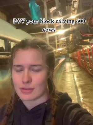 A post by @asialaw123 on TikTok caption: Dairy farming #dairyfarmer #agriculture #backbritishfarming #harperadams 