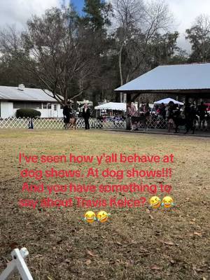 A post by @nobledame on TikTok caption: #traviskelce #dogshows #potcallingthekettleblack 