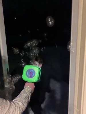 A post by @toshamiah_missions on TikTok caption: #fyp #bubble #blower #robert #funny #fall #fypシ #comedy #cleanfun #prank #hehe #Robert! #tiktok #mynewproject #lol #funtimes #fy #snow #angel 