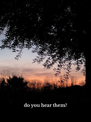 A post by @junkjournaljoy on TikTok caption: do you hear them? #birds #sunrise