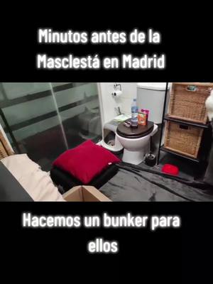 A post by @locadelosgatoss on TikTok caption: Mascletá Madrid. Las grandes ideas y hechos de nuestros políticos. #gatos #gatitos #viral #animales #fauna #gatostiktok #cats #NO #bastaya #mascotas #perros 