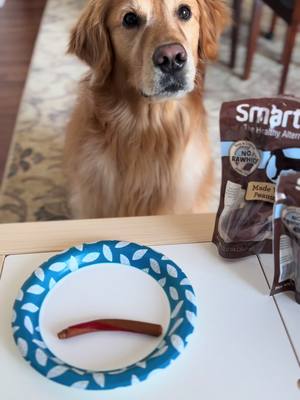 A post by @brewski.o on TikTok caption: Starting my day off the right way 😎 @smartboneschews #sponsored #SmartBonesNewYear #ad #gifted 