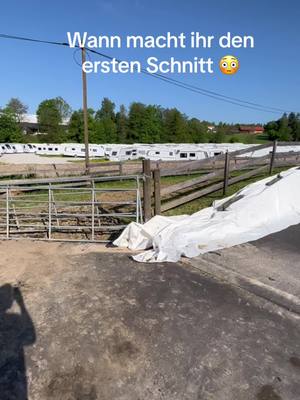 A post by @mfstihlpenn on TikTok caption: #vorher #nachher #silo 