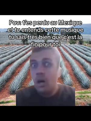 A post by @yns.rts on TikTok caption: Le canal cartel del Mexico tu vas être traumatisé à vie si tu le rejoins #reels #tk78 #viral #drole #tk78memes 