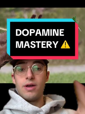 A post by @lofromental on TikTok caption: How have your dopamine levels been?