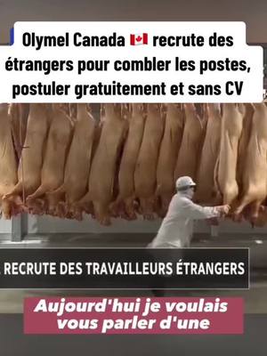 A post by @bienimmigrer on TikTok caption: Opportunités d’emploi au Canada 🇨🇦 sans dépenser d’argent et sans diplôme. #offreemploi #jobcanada #travailleraucanada #siteemploicanada #vivreaucanada #permisdetravail #sansargent #educational #pourtoi #fyp 