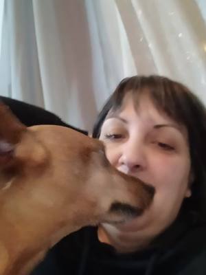 A post by @simomarti1234 on TikTok caption: noi inseparabili #ettore #cane #pincer 