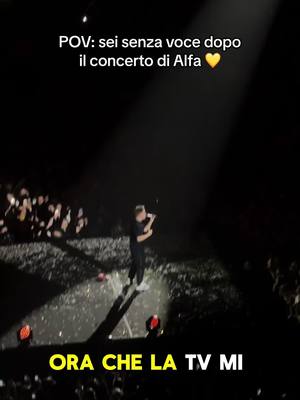 A post by @martina.calandra on TikTok caption: Anche il nuovo album già tutto a memoria 🥹💛 @Alfa #concertoalfa #forum 